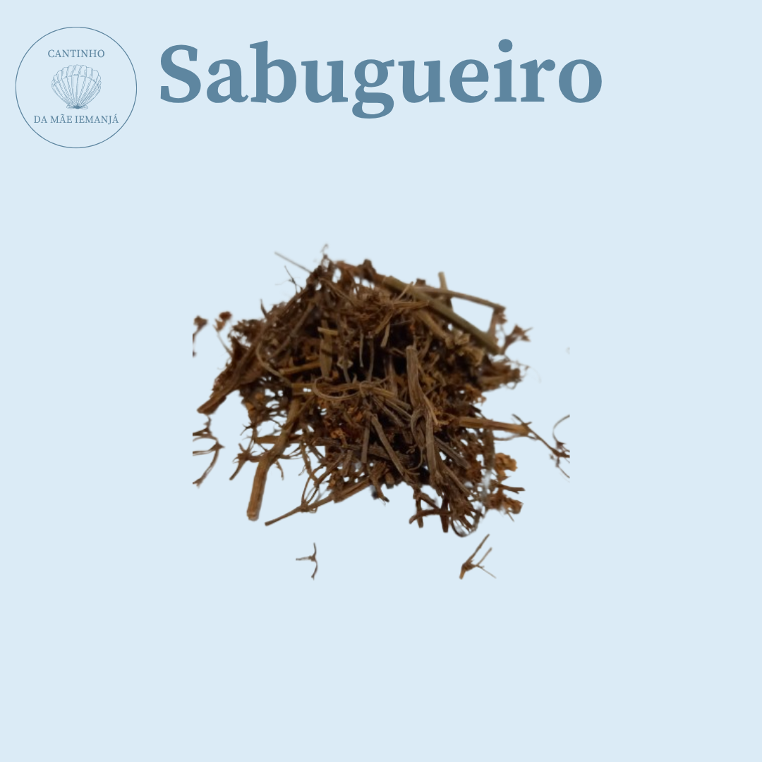 Sabugueiro