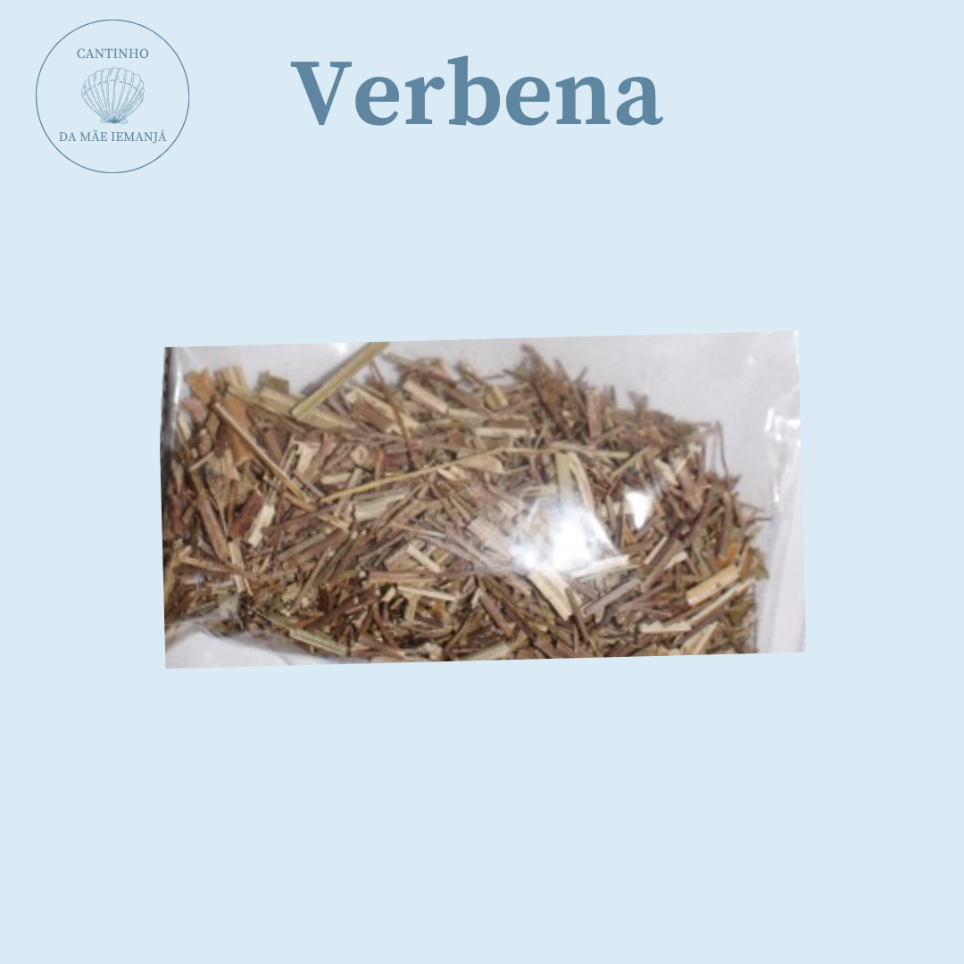 Verbena
